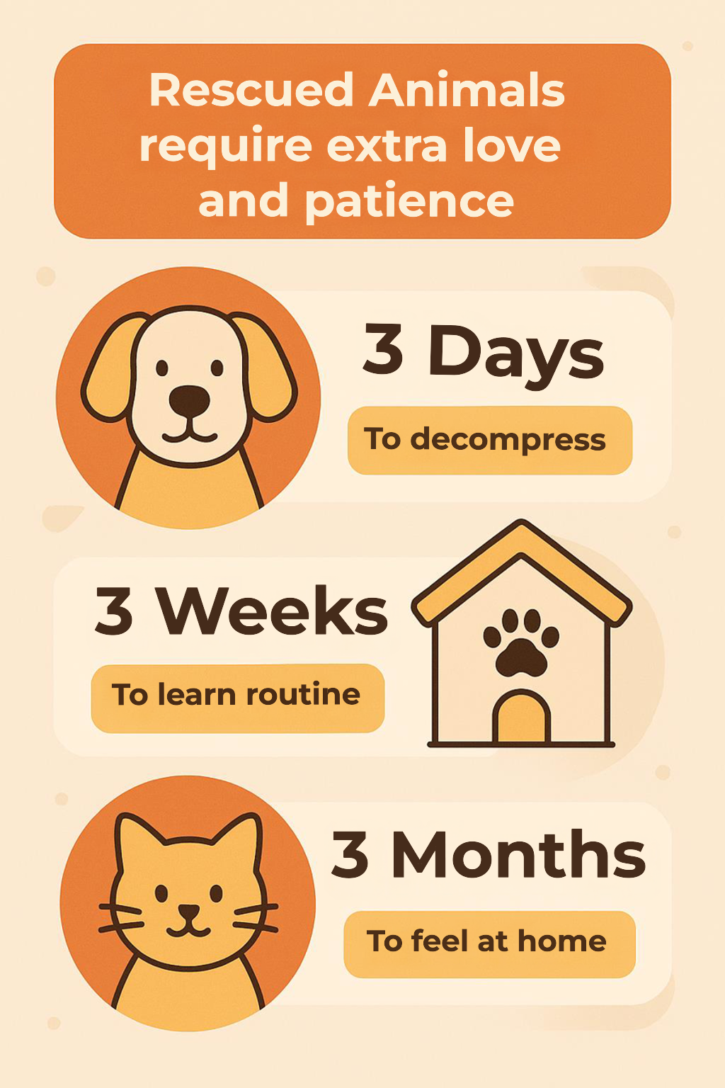 The 3-3-3 Rule for Rescued Animal Adoption
